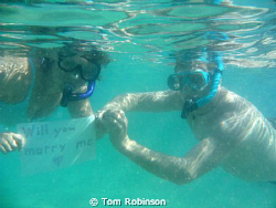 My girlfriend and I got engaged while snorkeling at Hanau... by Tom Robinson 